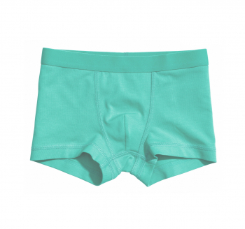 Трусики 158-164 см (12-14 years)   -боксери для хлопчика H&amp;M 05895521-003 зелений 90594